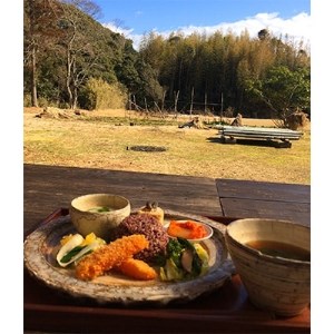マクロビランチ+いすみ川SUPリバークルーズ体験(2名様)_旅行券・チケット 食事券 旅行券・チケット 体験チケット _