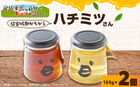 いすみ市の『ハチミツさん』160g×2個_調味料 はちみつ  ハチミツ 蜂蜜_【1391527】