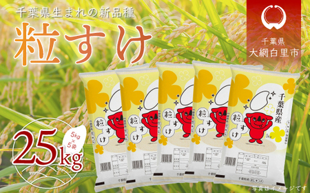 【新米】令和6年産 千葉県産「粒すけ」25kg（5kg×5袋）  お米 25kg 千葉県産 大網白里市 粒すけ 米 精米 こめ 送料無料 A043 米 米 米 米 米 米 米 米 米 米 米 米 米 米 米 米 米 米 米 米 米 米 米 米 米 米 米 米 米 米 米 米 米 米 米 米 米 米 米 米 米 米 米 米 米 米 米 米 米 米 米 米 米 米 米 米 米 米 米 米 米 米 米 米 米 米 米 米 米 米 米 米 米 米 米 米 米 米 米 米 米 米 米 米 米 米 米 米 米 米 米 米 米 米 米 米 米 米 米 米 米 米 米 米 米 米 米 米 米 米 米 米 米 米 米 米 米 米 米 米 米 米 米 米 米 米 米 米 米 米 米 米 米 米 米 米 米 米 米 米 米 米 米 米 米 米 米 米 米 米 米 米 米 米 米 米 米 米 米 米 米 米 米 米 米 米 米 米 米 米 米 米 米 米 米 米 米 米 米 米 米 米 米 米 米 米 米 米 米 米 米 米 米 米 米 米 米 米 米 米 米 米 米 米 米 米 米 米 米 米 米 米 米 米 米 粒すけ 粒すけ 粒すけ 粒すけ 粒すけ 粒すけ 粒すけ 粒すけ 粒すけ 粒すけ 粒すけ 粒すけ 粒すけ 粒すけ 粒すけ 粒すけ 粒すけ 粒すけ 粒すけ 粒すけ 粒すけ 粒すけ 粒すけ 粒すけ 粒すけ 粒すけ 粒すけ 粒すけ 粒すけ 粒すけ 粒すけ 粒すけ 粒すけ 粒すけ 粒すけ 粒すけ 粒すけ 粒すけ 粒すけ 粒すけ 粒すけ 粒すけ 粒すけ 粒すけ 粒すけ 粒すけ 粒すけ 粒すけ 粒すけ 粒すけ 粒すけ 粒すけ 粒すけ 粒すけ 粒すけ 粒すけ 粒すけ 粒すけ 粒すけ 粒すけ 粒すけ 粒すけ 粒すけ 粒すけ 粒すけ 粒すけ 粒すけ 粒すけ 粒すけ 粒すけ 粒すけ 粒すけ 粒すけ 粒すけ 粒すけ 粒すけ 粒すけ 粒すけ 粒すけ 粒すけ 粒すけ 粒すけ 粒すけ 粒すけ 粒すけ 粒すけ 粒すけ 粒すけ 粒すけ 粒すけ 粒すけ 粒すけ 粒すけ 粒すけ 粒すけ 粒すけ 粒すけ 粒すけ 粒すけ 粒すけ 粒すけ 粒すけ 粒すけ 粒すけ 粒すけ 粒すけ 粒すけ 粒すけ 粒すけ 粒すけ 粒すけ 粒すけ 粒すけ 粒すけ 粒すけ 粒すけ 粒すけ 粒すけ 粒すけ 粒すけ 粒すけ