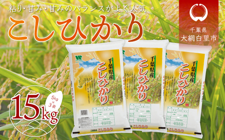 [新米]令和6年産 千葉県産「コシヒカリ」15kg(5kg×3袋) お米 15kg 千葉県産 大網白里市 コシヒカリ 米 精米 こめ 送料無料 A049 こしひかり