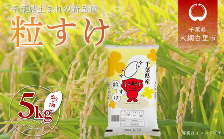 [先行受付]令和7年産 千葉県産「粒すけ」5kg(5kg×1袋) お米 5kg 千葉県産 大網白里市 粒すけ 米 精米 こめ 送料無料