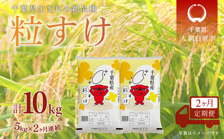 [2か月定期便] 千葉県産「粒すけ」精米 5kg×2か月連続 計10kg