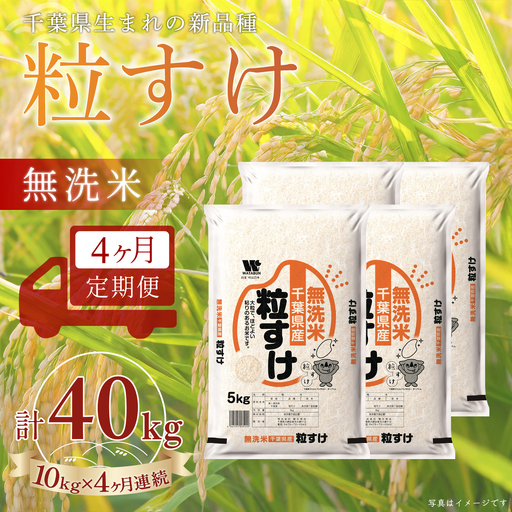 ＜4か月定期便＞ 千葉県産「粒すけ」無洗米 10kg×4か月連続 計40kg A098