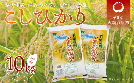 令和5年産 千葉県産「コシヒカリ」10kg(5kg×2袋)