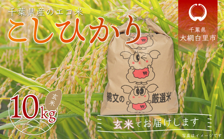 令和5年産 千葉県産エコ米「コシヒカリ」玄米10kg(10kg×1袋)