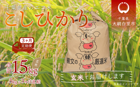 [3ヶ月定期便]千葉県産エコ米「コシヒカリ」玄米5kg×3ヶ月連続 計15kg