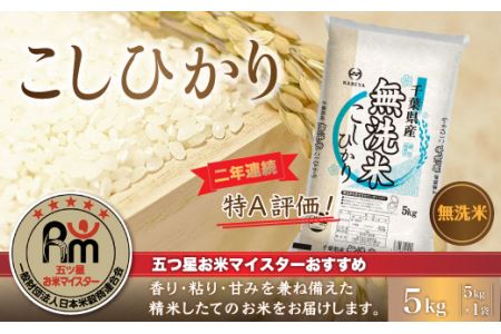 [新米]令和6年産 2年連続特A評価!千葉県産コシヒカリ5kg無洗米(5kg×1袋) E008 米 コシヒカリ こしひかり 無洗米