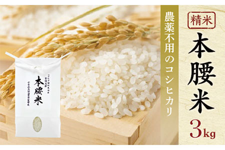 本腰米3kg 精米 千葉県産コシヒカリ 農薬不使用