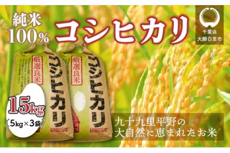 千葉県大網白里市 コシヒカリの返礼品 検索結果 | ふるさと納税サイト