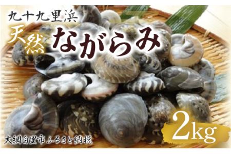 ��\�㗢�l�@�V�R�Ȃ���݁@2kg�y���Y�z �ӂ邳�Ɣ[�� �Ȃ���� ���̊L ��\�㗢�Y �L ���Y ��t�� ��Ԕ����s �������� P006