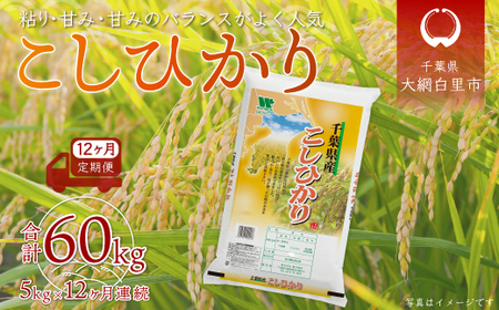 北海道 定期便 12ヵ月 連続 全12回 R5年産 北海道産 ななつぼし 5kg