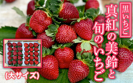 【2026年1月下旬発送開始】＜黒いちご＞真紅の美鈴と旬のいちご食べ比べセット（大サイズ） AB002