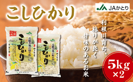 令和6年産 新米 コシヒカリ精米10kg(5kg×2)[千葉県神崎町産][001-a004]