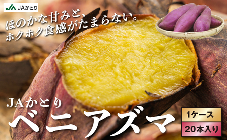 JAかとり産 サツマイモ(ベニアズマ)[001-a003][千葉県神崎町ふるさと納税][焼き芋 食べ比べ チップス 干し芋]