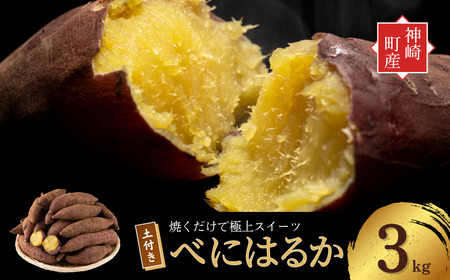 [先行予約] 神崎町産 べにはるか さつまいも 3kg[土付き・M〜Sサイズ混合](5〜12月受付分は翌年1月中旬以降発送)