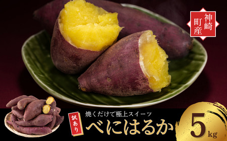 [先行予約] 神崎町産 べにはるか さつまいも 5kg [訳あり 無選別](5〜12月受付分は翌年1月中旬以降発送)