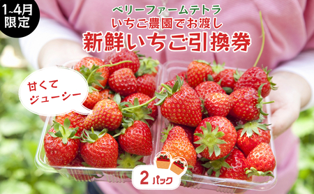 �y�������_���ł��n���E1�`4������z�Â��ăW���[�V�[�I�x���[�t�@�[���e�g���̐V�N�������������i2�p�b�N�j[020-a002]