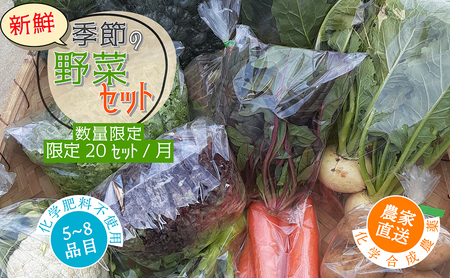 [数量限定]すが農園の季節の野菜セット(5〜8品目)|千葉県神崎町 ふるさと納税[023-a001]