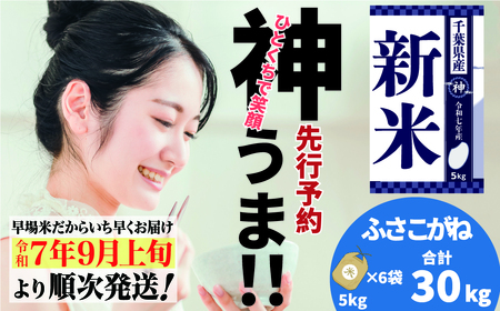 《先行予約・令和7年産米》千葉県神崎町産ふさこがね30kg（5kg×6袋）
