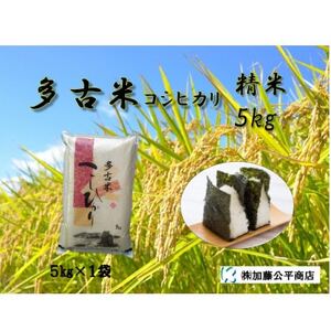 [令和7年産]多古米コシヒカリ 精米5kg_ 精米 米 _[配送不可地域:離島・沖縄県]