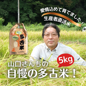 山口さんちの[令和5年産]多古米コシヒカリ(精米)5kg[配送不可地域:離島・沖縄県]