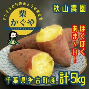 秋山農園から話題のさつまいも「栗かぐや(R)」5kg_野菜 さつまいも いも サツマイモ 薩摩芋_[配送不可地域:離島・沖縄県]