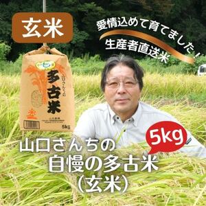 山口さんちの[令和7年産]多古米コシヒカリ(玄米)5kg_ 玄米 米 こめ コメ コシヒカリ 米 こしひかり_[配送不可地域:離島・沖縄県]