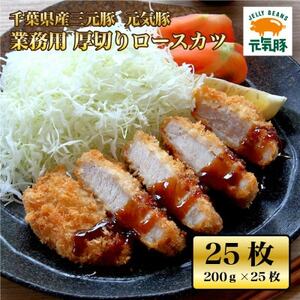 ���C�� �Ɩ��p ���؂胍�[�X�J�c 5kg(200g×25����)_��  �ؓ� _�y�z���s�n��F�����E���ꌧ�z�y1494175�z