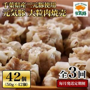 [毎月定期便]元気豚 大粒肉焼売セット 42個セット(計2.1kg)全3回_惣菜・加工品 シュウマイ 定期便 定期便 _[配送不可地域:離島・沖縄県]
