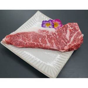 ΋@T[CXe[L@(180g×1pbN)yzsnFzy1685323z