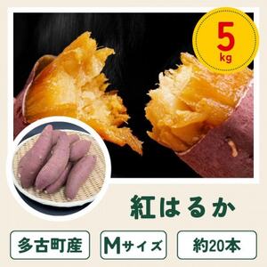 ���Ò��Y���܂����u�g�͂邩�v5kg�y1699909�z