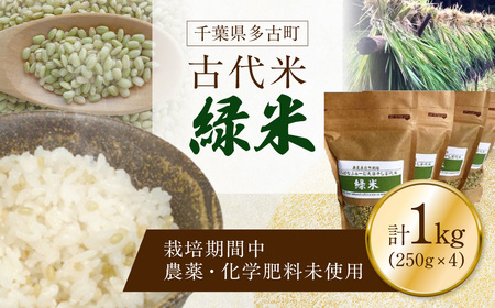 栽培期間中農薬化学肥料不使用の古代米「緑米」250g×4_ 玄米 米 こめ コメ_[配送不可地域:離島・沖縄県]