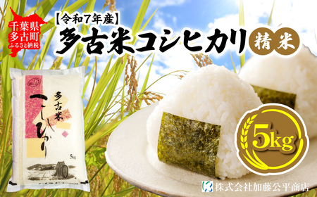 [令和7年産]多古米コシヒカリ 精米5kg_ 精米 米 _[配送不可地域:離島・沖縄県]