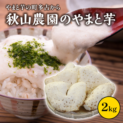 やまと芋の町 多古から「秋山農園のやまと芋」2kg_野菜 自然薯 根菜 じねんじょ ジネンジョ [配送不可地域:離島・沖縄県]T