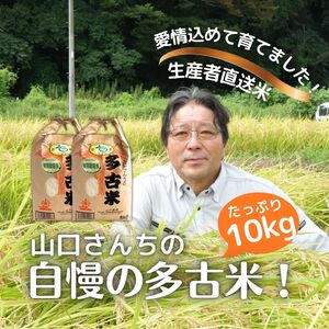 山口さんちの【令和7年産】多古米コシヒカリ(精米)10kg_ 精米 米 TAKF044
