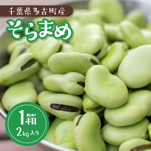 大村農場のそら豆2kg(5月中旬より順次発送)_野菜 豆 まめ マメ_[配送不可地域:離島・沖縄県][1609285]