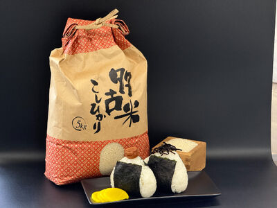 多古米セレクション 萩原佐千穂さんの多古米コシヒカリ 精米5kg 令和7年産_多古米 コシヒカリ 精米 令和7年産_[配送不可地域:離島]米 精米 コシヒカリ 千葉県産