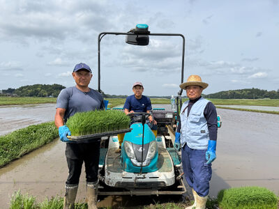多古米セレクション　大木茂秀さんの多古米コシヒカリ　精米5kg　令和7年産 TAKF055
