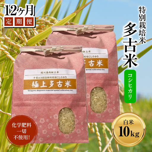 [定期便]化学肥料一切不使用!特別栽培米多古米「コシヒカリ」白米10kgx12回 TAKJ007/ふるさと納税 多古米 コシヒカリ 白米 玄米 10kg 化学肥料不使用 定期便 千葉県産 多古町 送料無料