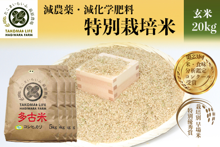 特別栽培米 多古米 コシヒカリ（玄米）20kg