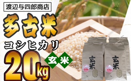 wy多古米コシヒカリ【玄米】20kg