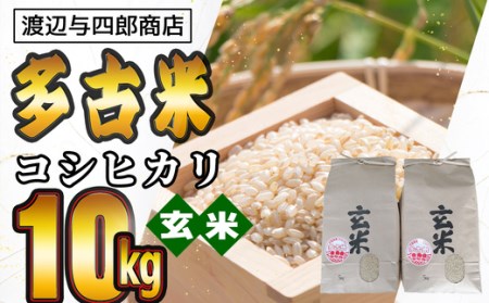 wy多古米コシヒカリ【玄米】10kg