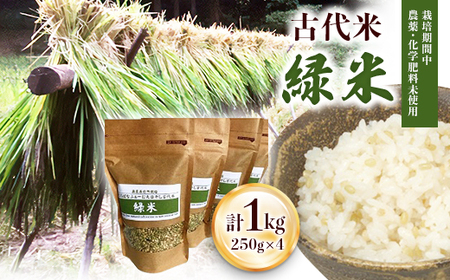 栽培期間中農薬化学肥料不使用の古代米「緑米」250g×4_ 玄米 米 こめ コメ_【配送不可地域：離島・沖縄県】【1228131】