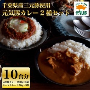 元気豚カレー2種セット(元気豚カレー 5P、キーマカレー 5P 計10食分)[保存食・備蓄・ギフト]_惣菜・加工品 カレー _[配送不可地域:離島・沖縄県]