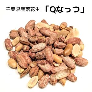 千葉県産落花生「Qなっつ」