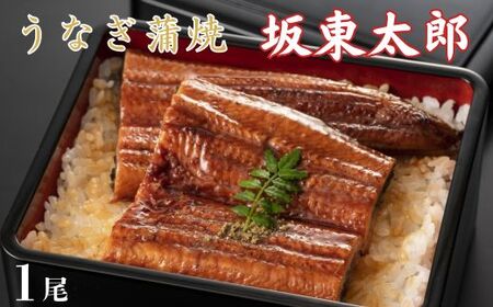 うなぎ 坂東太郎 蒲焼 1尾 / うなぎ 鰻 ウナギ 蒲焼 蒲焼き 坂東太郎 国産 千葉県 東庄町 送料無料
