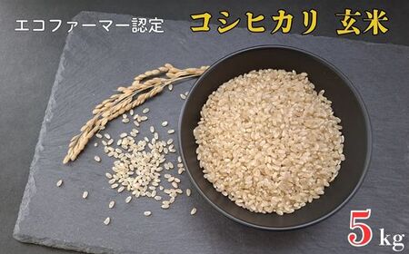 令和7年産 新米 [エコファーマー認定] コシヒカリ 玄米 5kg / 米 こめ コメ ごはん ご飯 お米 おこめ 玄米 新米 エコファーマー認定 5kg 令和7年 千葉県 東庄町 産地直送