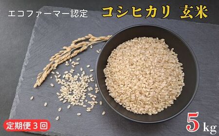 [定期便3ヶ月]令和7年産 新米 [エコファーマー認定] コシヒカリ 玄米 5kg / 米 こめ コメ ごはん ご飯 お米 おこめ 玄米 新米 エコファーマー認定 5kg 定期便 令和7年 千葉県 東庄町 産地直送