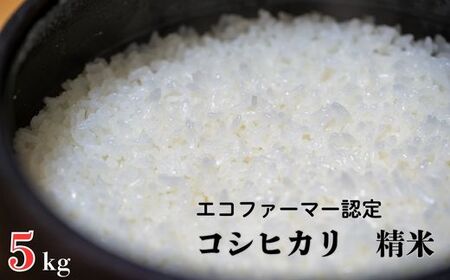 令和7年産 新米[エコファーマー認定] コシヒカリ 白米 5kg / 米 こめ コメ ごはん ご飯 お米 おこめ 精米 白米 新米 エコファーマー認定 5kg 令和7年 千葉県 東庄町 産地直送