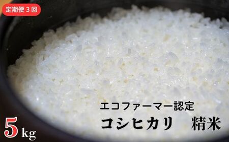 [定期便3ヶ月] 令和7年産 新米[エコファーマー認定] コシヒカリ 白米 5kg / 米 こめ コメ ごはん ご飯 お米 おこめ 精米 白米 新米 エコファーマー認定 5kg 定期便 令和7年 千葉県 東庄町 産地直送